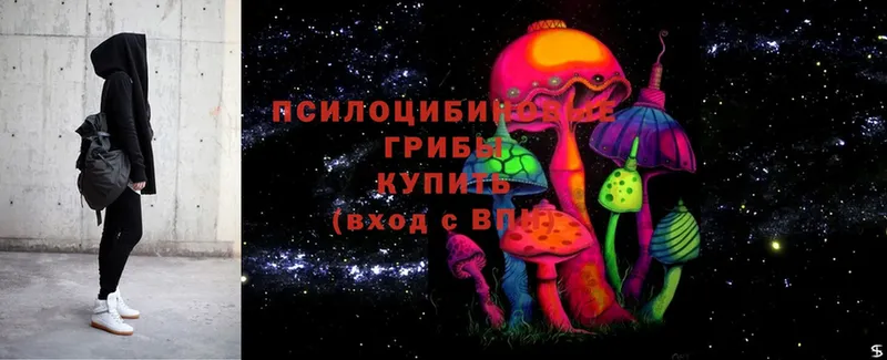 Галлюциногенные грибы Psilocybine cubensis  Горбатов 